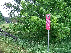 Beberbachisesüd201905