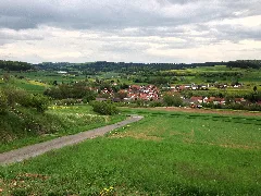 Bebra Iba