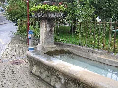 Bec De La Fontaine Champ Du Gour Moudon