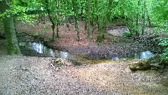 Beckedorfer Beeke Mai 2015 20150509 008