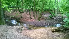 Beckedorfer Beeke Mai 2015 20150509 011