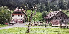 Bei Der Glasmühle Im Teinachtal Panoramio