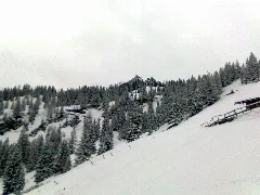 Bei Der Schellenberg Alm Panoramio