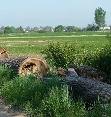 Bei Flomersheim Panoramio