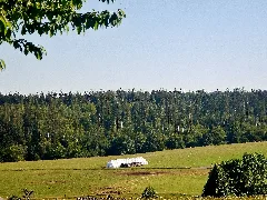 Bei Kälberbronn Panoramio