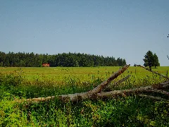 Bei Waffenrod Panoramio