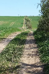 Beichlingen, Der Weg Beichlingen Burgwenden