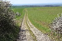 Beichlingen, The Way Beichlingen Burgwenden