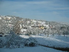 Beihingen (Haiterbach) 11 2010 05