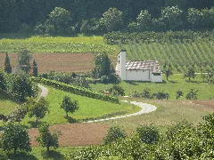 Beilstein Billensbach Johanneskirche Ansicht Von No Im Sommer Näher