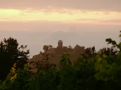 Beilstein Burg Hohenbeilstein Ansicht Von So Im Abendlicht