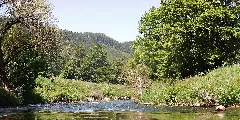 Beim 366 Km Langen Neckartalradweg, Neckar Zwischen Sulz Und Horb Panoramio (6)
