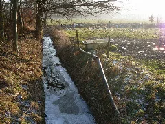Bekelbach01