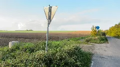 Bellingendemker Preussischer Rundsockelstein 03