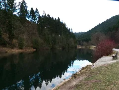 Bench At The Lake Panoramio