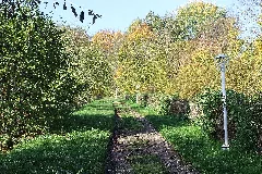 Bendeleben, Weg Zum Schlosspark