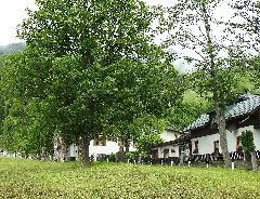 Bergahorneschüttgutzellamsee 03