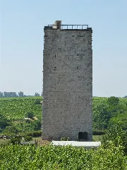 Bergfried Burg Schwabsburg Nordostansicht