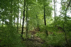 Bergstedt Furtbek