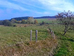 Bergwerksteich 121828
