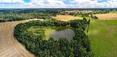 Bernsdorf Großgrabe Erlenteich Aerial Pan