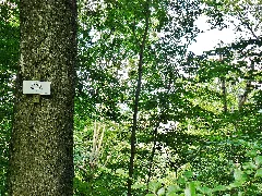 Bertaburg (Die Gibt Es Gar Nicht Mehr ...) Panoramio