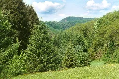 Berwartstein Castle, Landscape Around The Castle