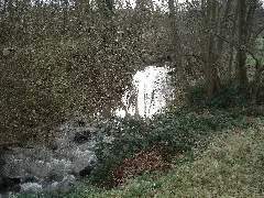 Bessenbach