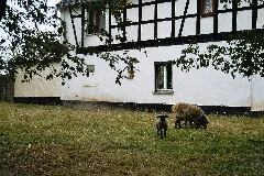 Bethenhausen Half Timbered House 2