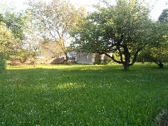 Betolamin Oeh 66