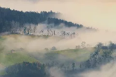 Between Fog And Sun (23431640720)