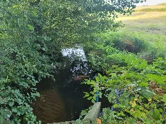 Beverbeck (Schwinge)