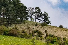 Beverungen 2017 04 27 Hx 014 Stockberg (02)