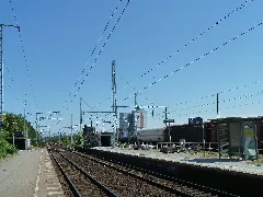 Bfseddinbstg