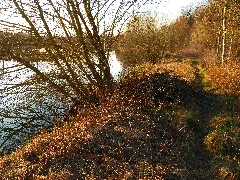 Biberbau Panoramio