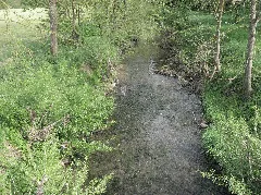 Bibers 200 M Vor Ihrer Mündung In Den Kocher Bei Rosengarten Westheim, Blick Flussabwärts