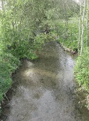 Bibers 200 M Vor Ihrer Mündung In Den Kocher Bei Rosengarten Westheim, Blick Flussaufwärts