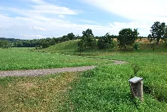 Bibers In Waldenburg 2