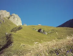 Bichl Sajat