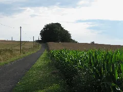 Bickplecken 2009 07 21 0825