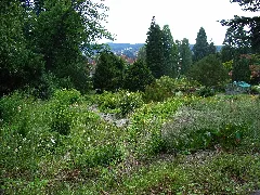 Bielefeld Botanischer Garten 2