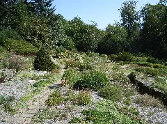 Bielefeld Botanischer Garten Alpinum 1