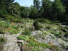 Bielefeld Botanischer Garten Alpinum 2