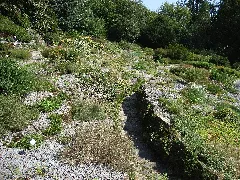 Bielefeld Botanischer Garten Alpinum 3