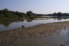Bielefeld Obersee Verlandung