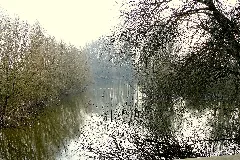 Bienener Altrhein Zwischen Rees Und Emmerich Panoramio