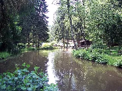 Bierbach Grohbachtal 02 2010 06 14