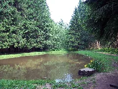 Bierbach Grohbachtal 03 2010 06 14