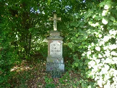 Biesingen1A