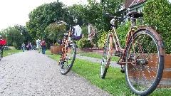 Bikes At Spiekeroog, Wittbülten National Park